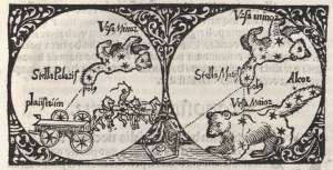 Apianus