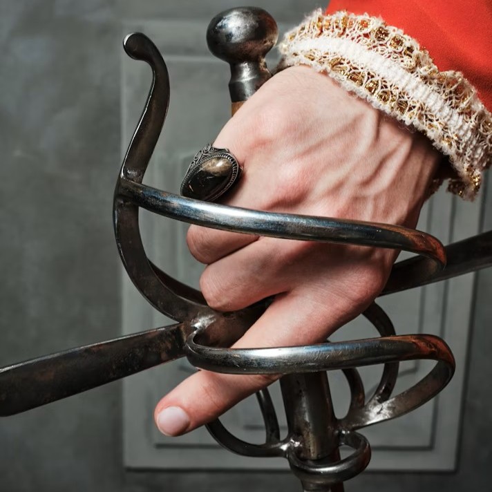 Oettingen vs. Königsegg. Fast ein Duell im Reichshofrat